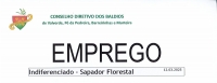 EMPREGO - INDIFERENCIADO / SAPADOR FLORESTAL