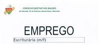 Emprego para escritur&aacute;ria (m/f)